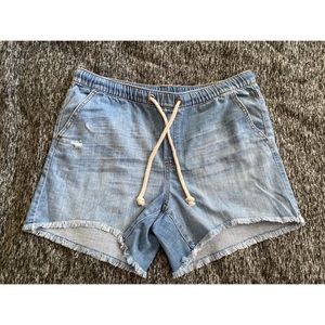 Aerie Boyfriend Shorts- Size Lage NWT